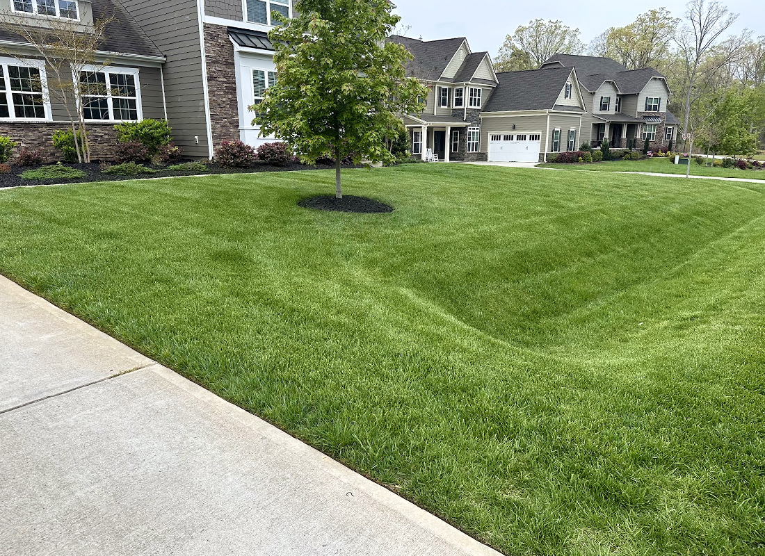 Waxhaw Outdoor Concepts Turf Management