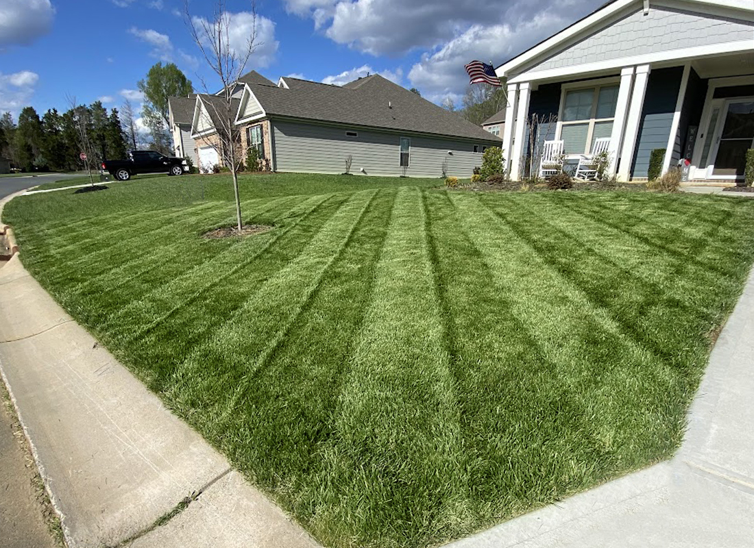 lines green lawn excellent lawn care waxhaw