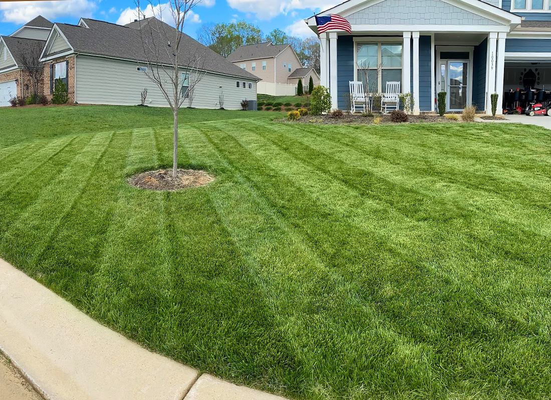 lawn maintenance 2024 Tyler ward