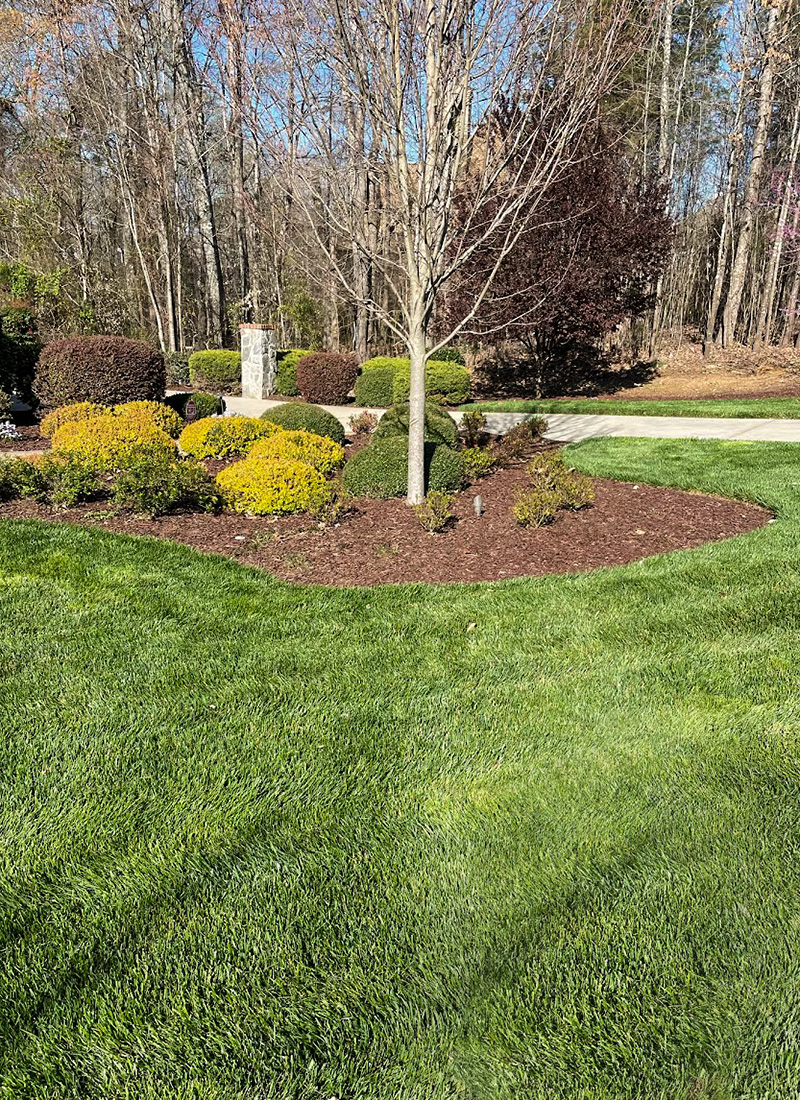 Gallery Outdoor Concepts Turf Management 