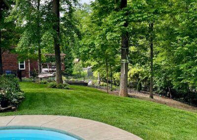 Mint Hill NC best lawn care