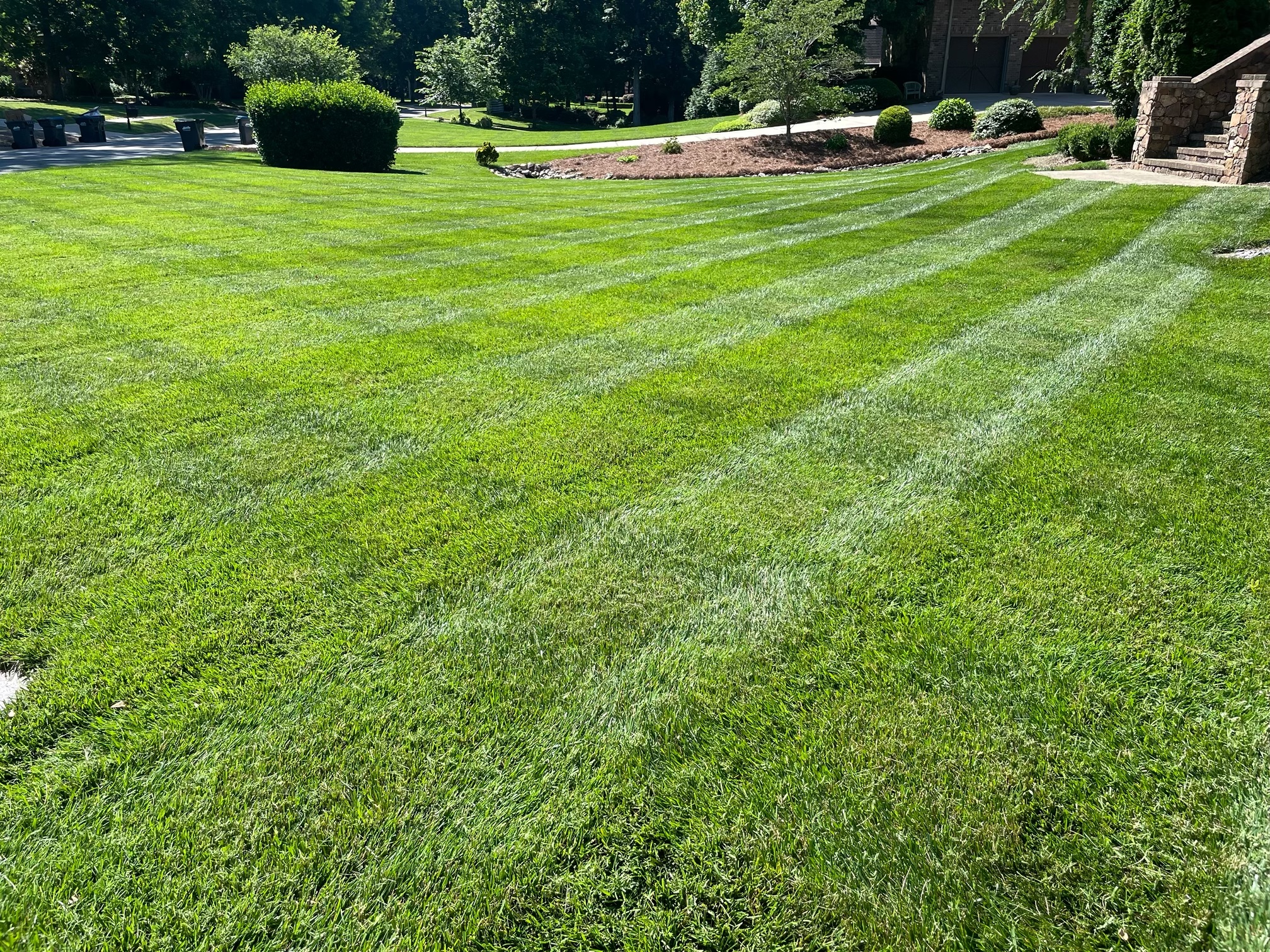 a lawn with a few trees